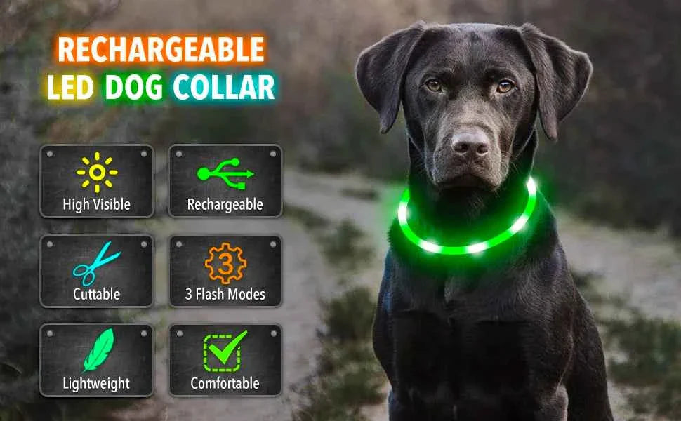 USB Rechargeable LED Dog Collar for Night Safety