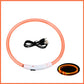 USB Rechargeable LED Dog Collar for Night Safety