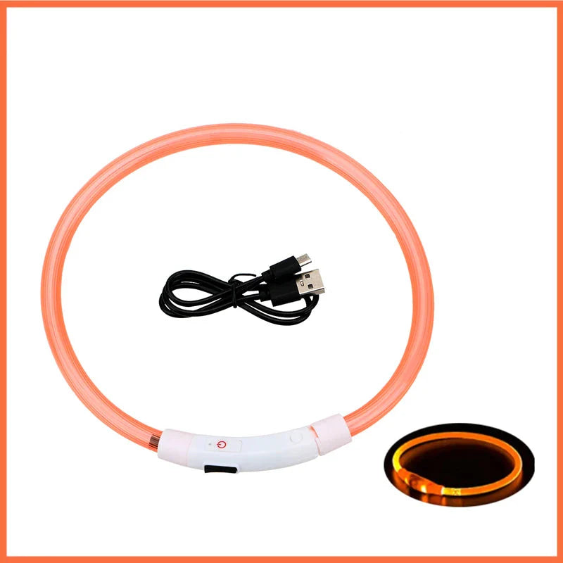 USB Rechargeable LED Dog Collar for Night Safety