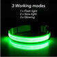USB Rechargeable LED Dog Collar for Night Safety
