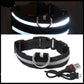 USB Rechargeable LED Dog Collar for Night Safety