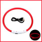 USB Rechargeable LED Dog Collar for Night Safety