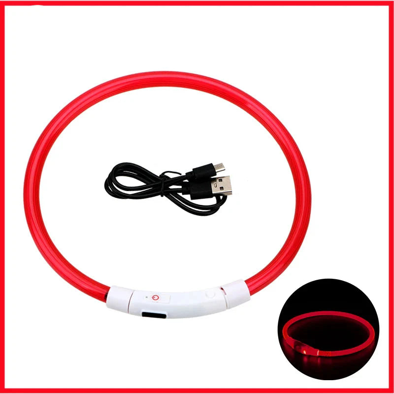 USB Rechargeable LED Dog Collar for Night Safety