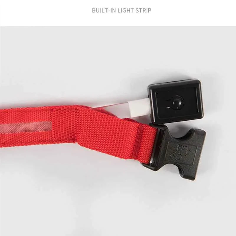 USB Rechargeable LED Dog Collar for Night Safety
