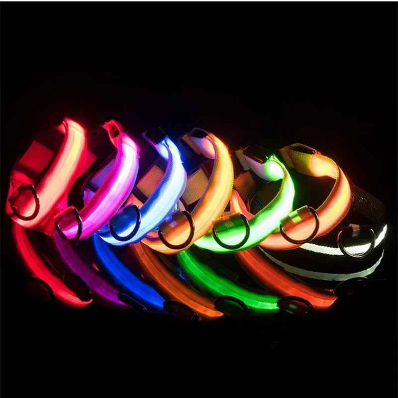 USB Rechargeable LED Dog Collar for Night Safety