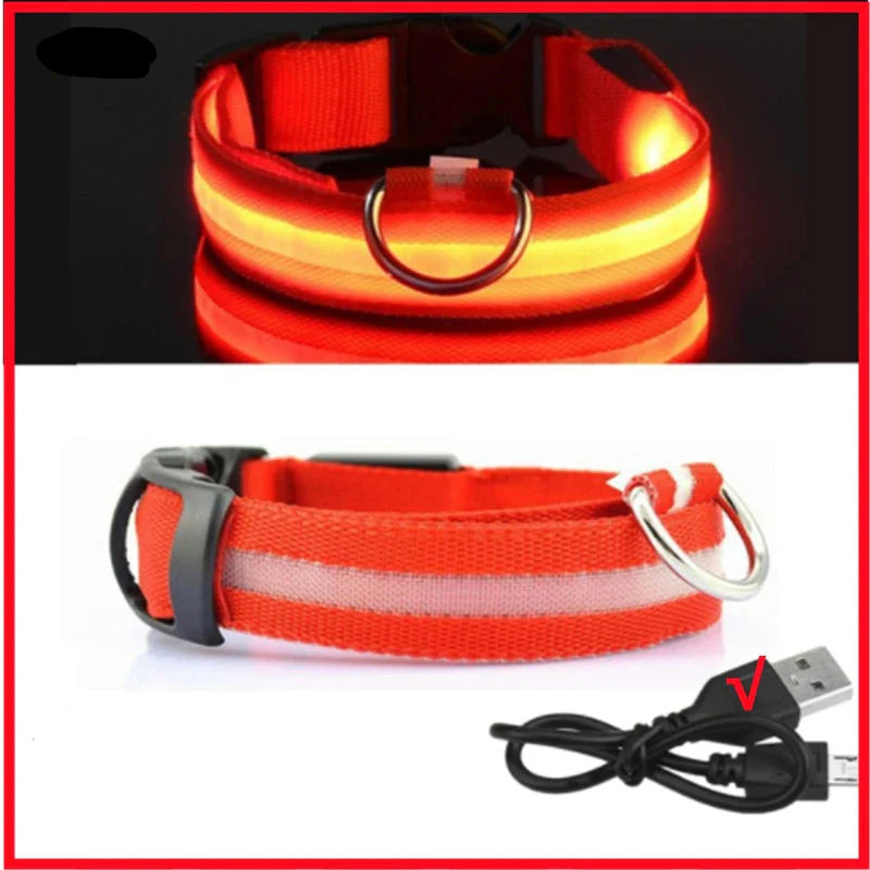 USB Rechargeable LED Dog Collar for Night Safety