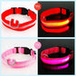 USB Rechargeable LED Dog Collar for Night Safety