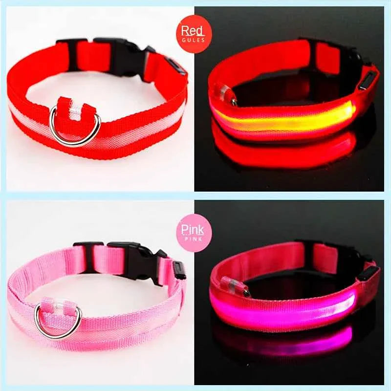USB Rechargeable LED Dog Collar for Night Safety