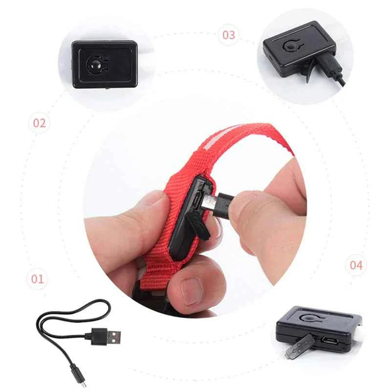 USB Rechargeable LED Dog Collar for Night Safety