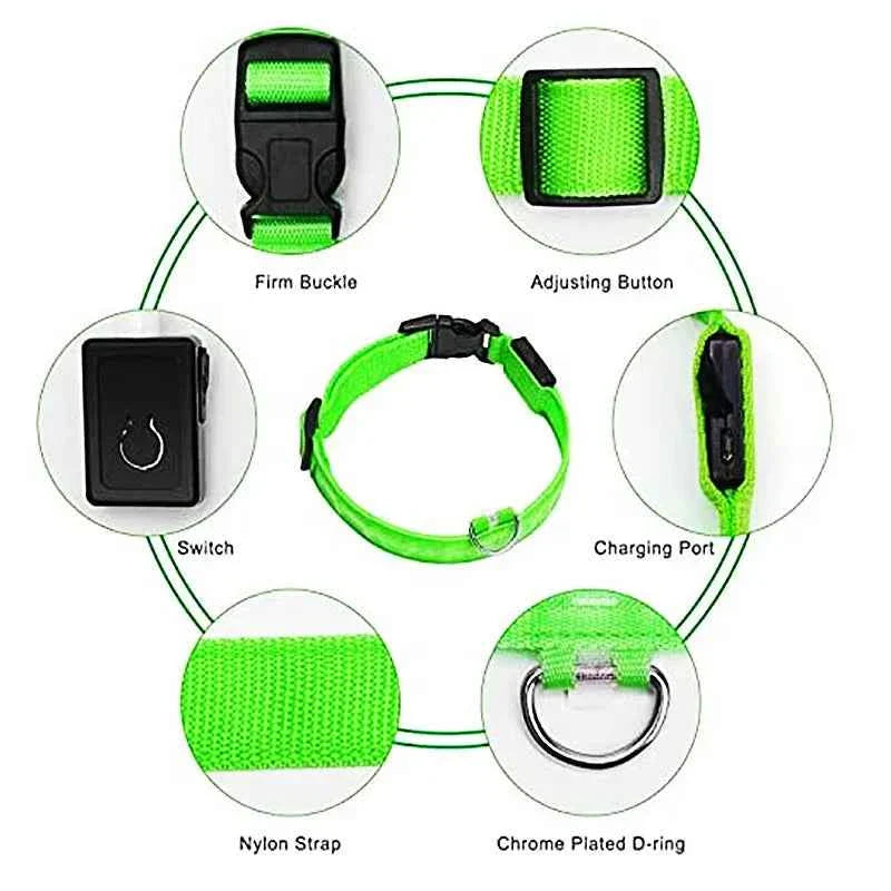 USB Rechargeable LED Dog Collar for Night Safety