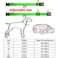 USB Rechargeable LED Dog Collar for Night Safety