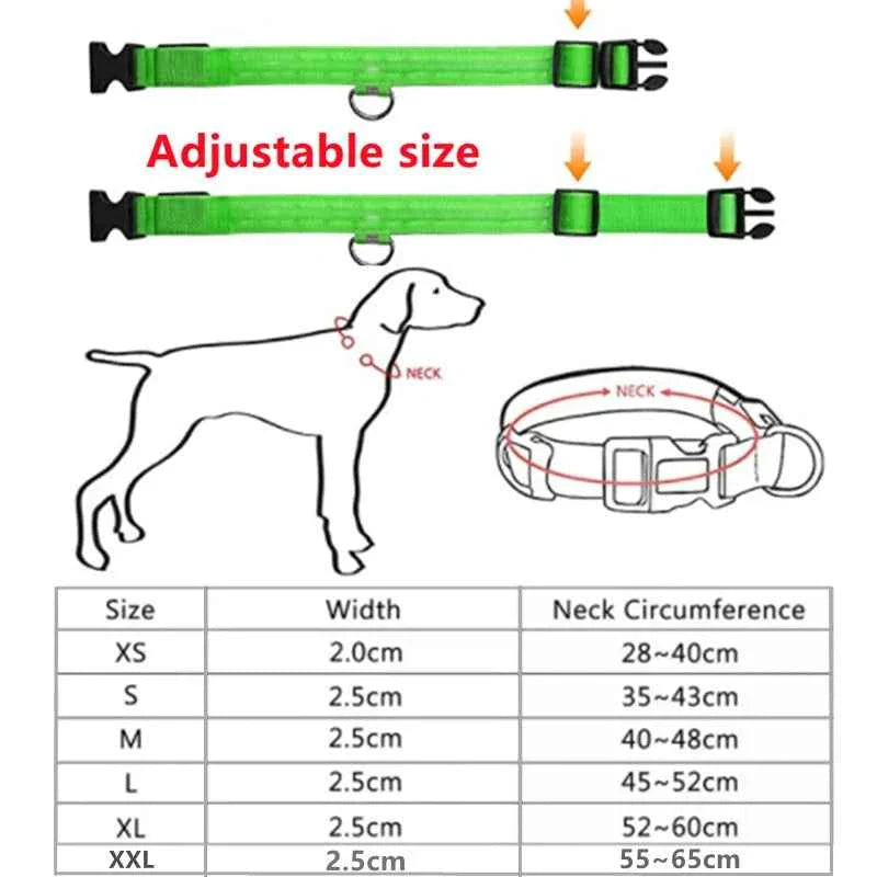 USB Rechargeable LED Dog Collar for Night Safety