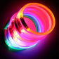 USB Rechargeable LED Dog Collar for Night Safety
