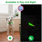 USB Rechargeable LED Dog Collar for Night Safety