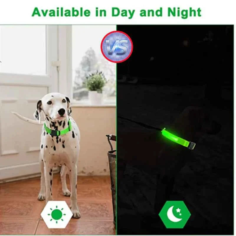 USB Rechargeable LED Dog Collar for Night Safety