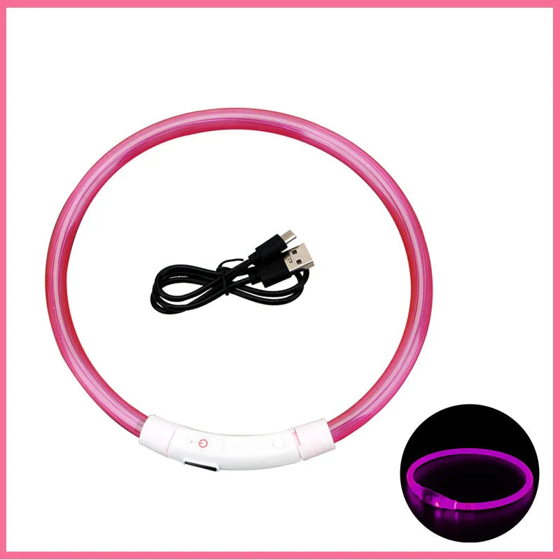 USB Rechargeable LED Dog Collar for Night Safety
