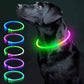 USB Rechargeable LED Dog Collar for Night Safety