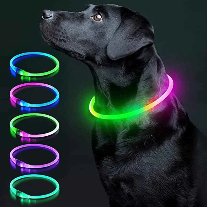 USB Rechargeable LED Dog Collar for Night Safety