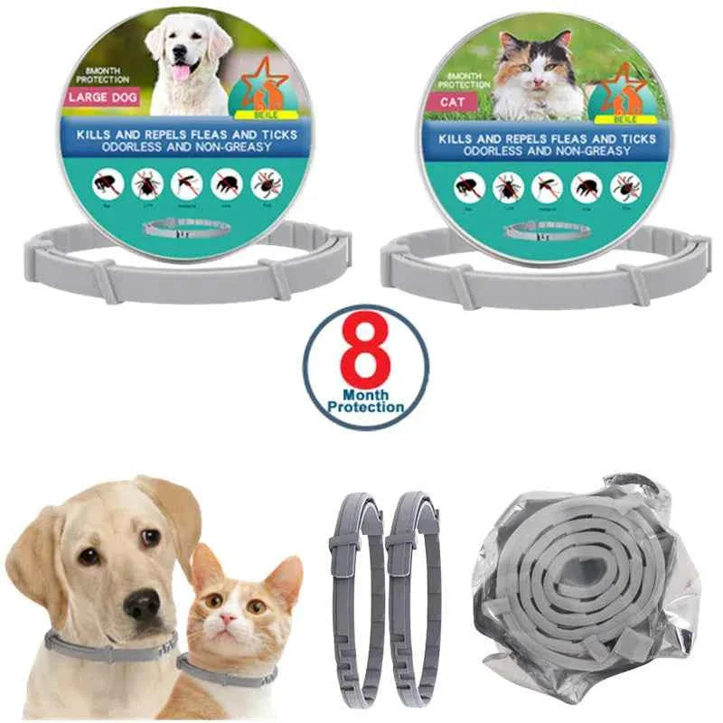 USB Rechargeable LED Dog Collar for Night Safety
