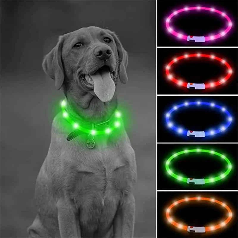 USB Rechargeable LED Dog Collar for Night Safety