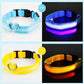 USB Rechargeable LED Dog Collar for Night Safety