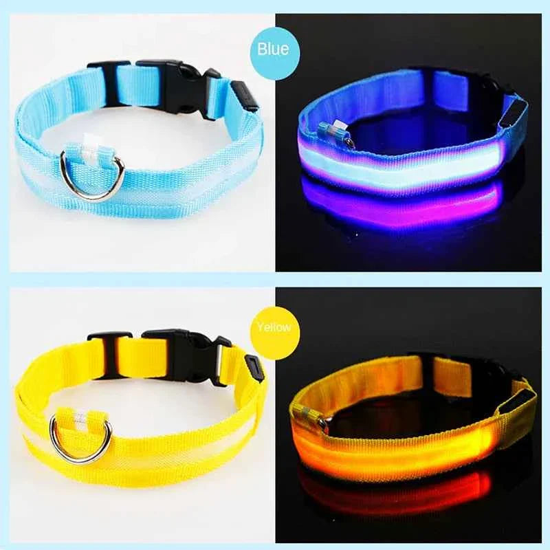 USB Rechargeable LED Dog Collar for Night Safety