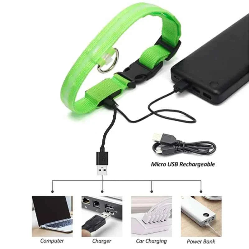 USB Rechargeable LED Dog Collar for Night Safety