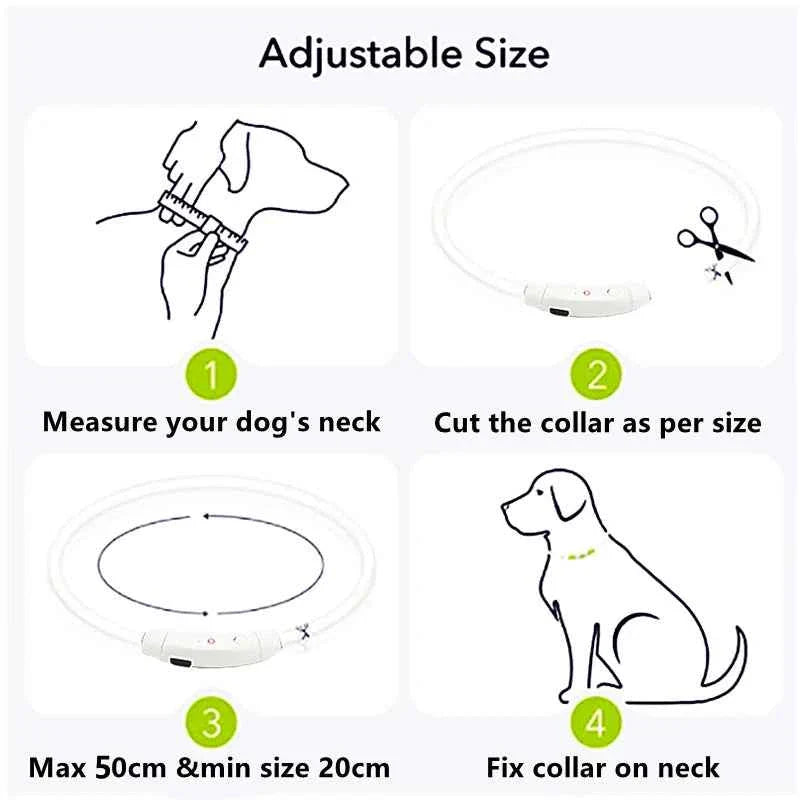 USB Rechargeable LED Dog Collar for Night Safety