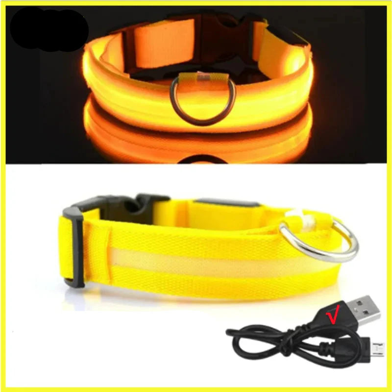 USB Rechargeable LED Dog Collar for Night Safety