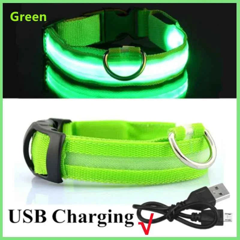 USB Rechargeable LED Dog Collar for Night Safety