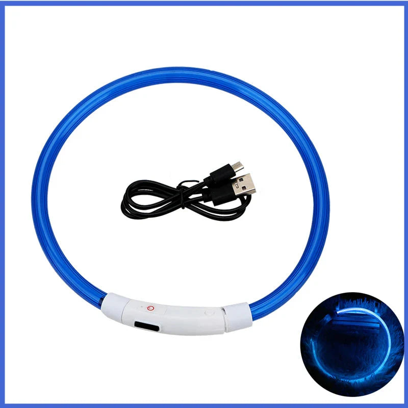 USB Rechargeable LED Dog Collar for Night Safety