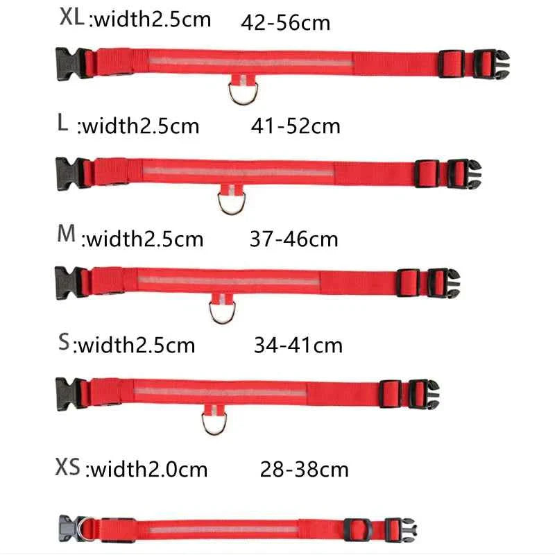 USB Rechargeable LED Dog Collar for Night Safety