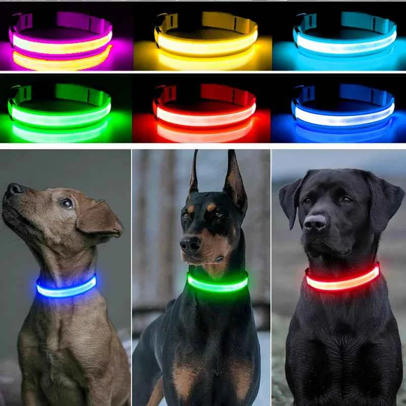 USB Rechargeable LED Dog Collar for Night Safety