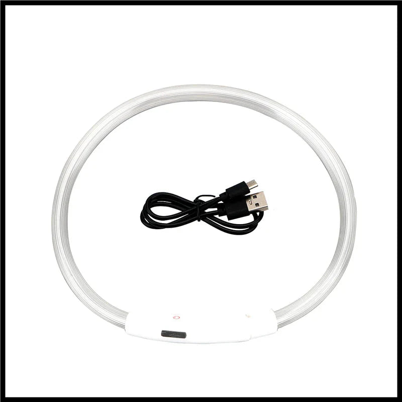 USB Rechargeable LED Dog Collar for Night Safety