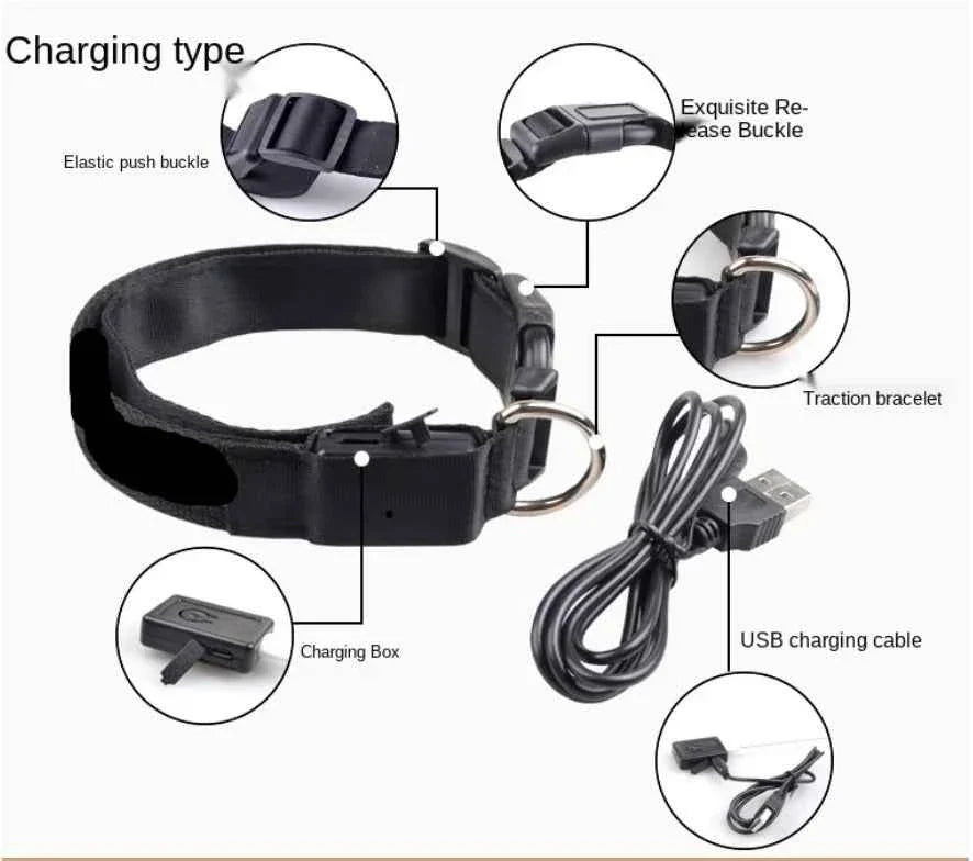 USB Rechargeable LED Dog Collar for Night Safety