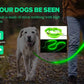 USB Rechargeable LED Dog Collar for Night Safety