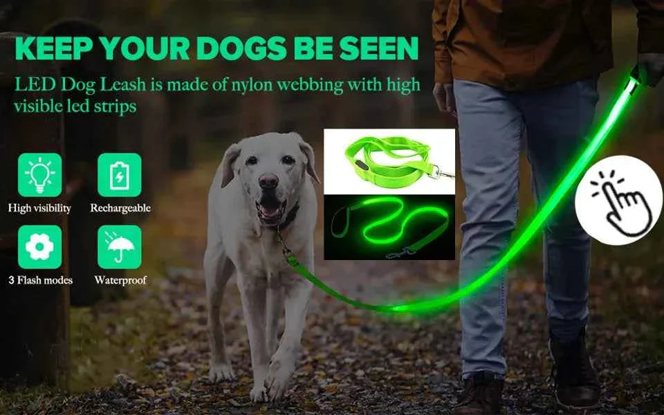 USB Rechargeable LED Dog Collar for Night Safety