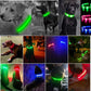 USB Rechargeable LED Dog Collar for Night Safety