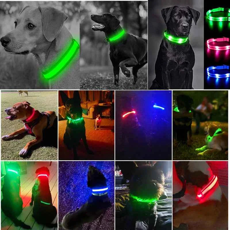 USB Rechargeable LED Dog Collar for Night Safety