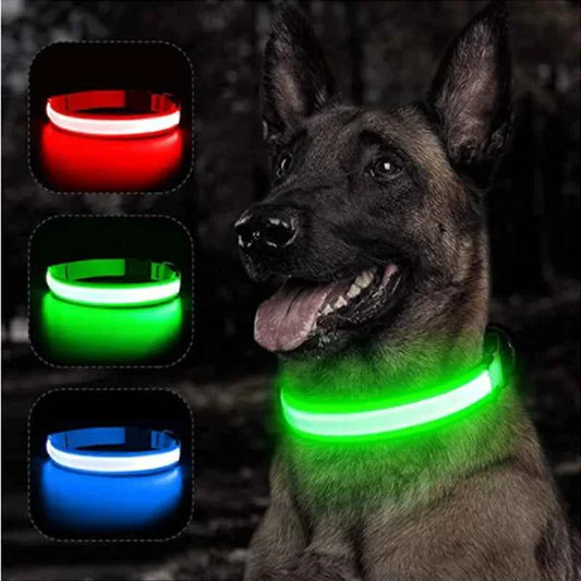 USB Rechargeable LED Dog Collar for Night Safety
