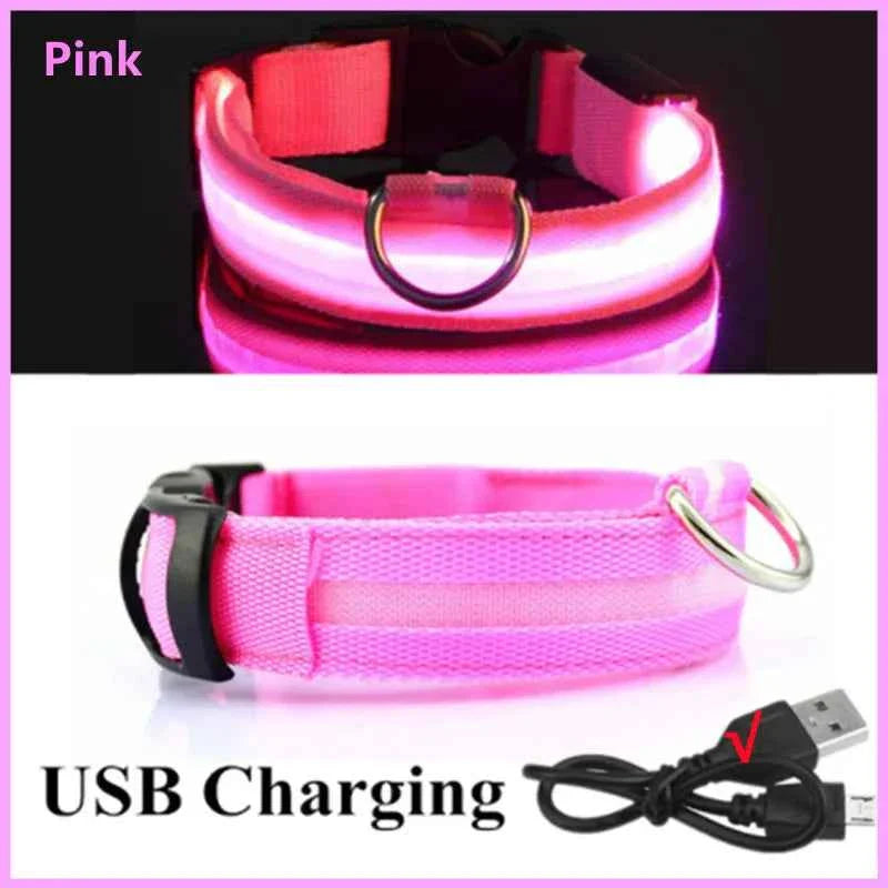 USB Rechargeable LED Dog Collar for Night Safety