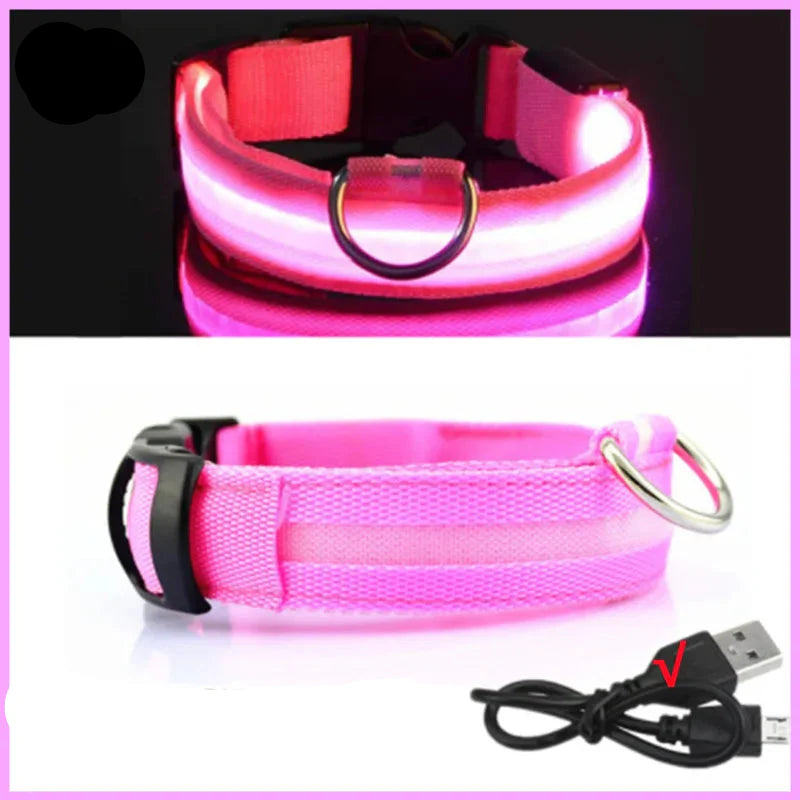 USB Rechargeable LED Dog Collar for Night Safety