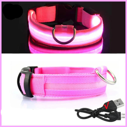 USB Rechargeable LED Dog Collar for Night Safety
