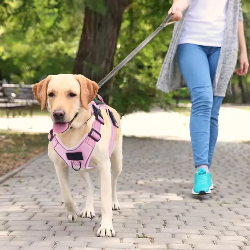No Pull Dog Harness with Locator Protective Cover