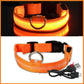 USB Rechargeable LED Dog Collar for Night Safety