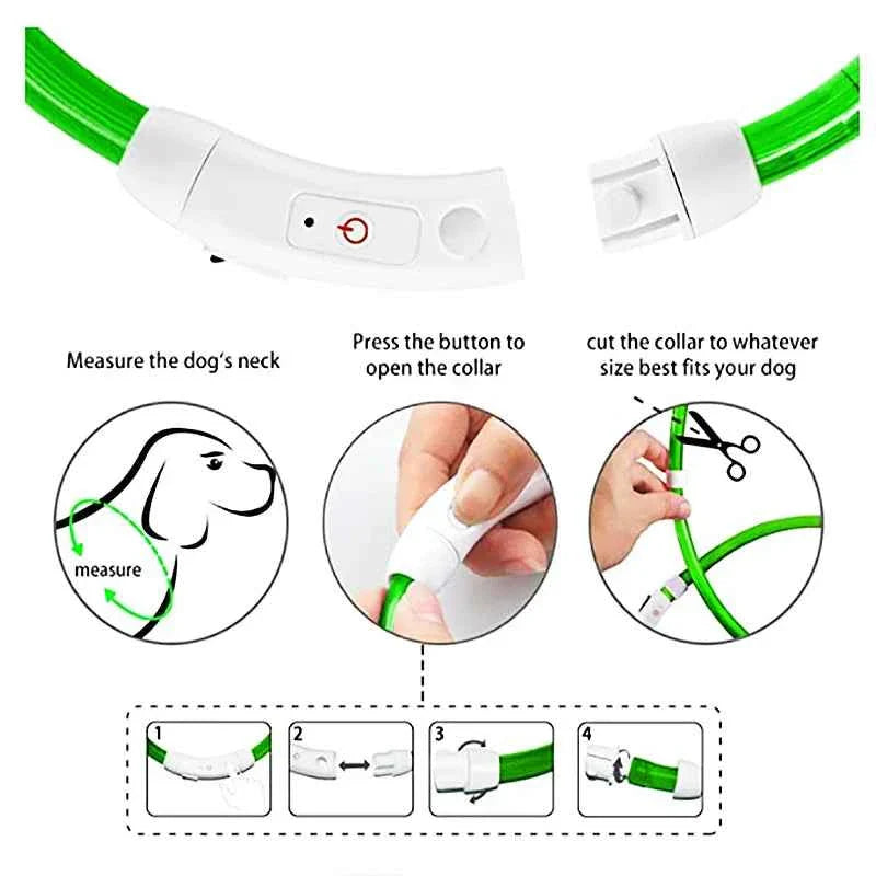 USB Rechargeable LED Dog Collar for Night Safety