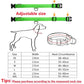 USB Rechargeable LED Dog Collar for Night Safety