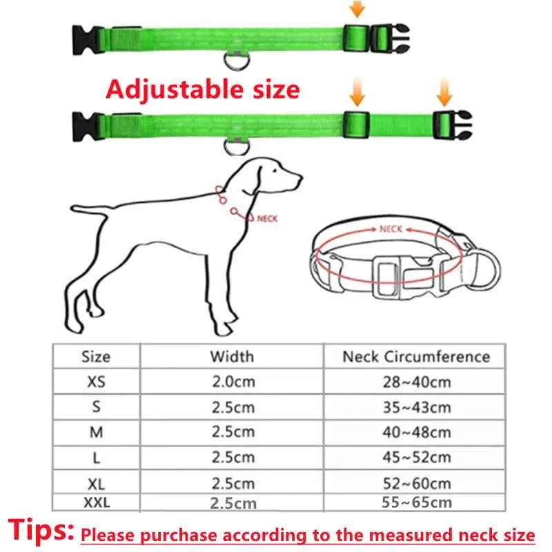 USB Rechargeable LED Dog Collar for Night Safety