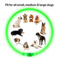 USB Rechargeable LED Dog Collar for Night Safety