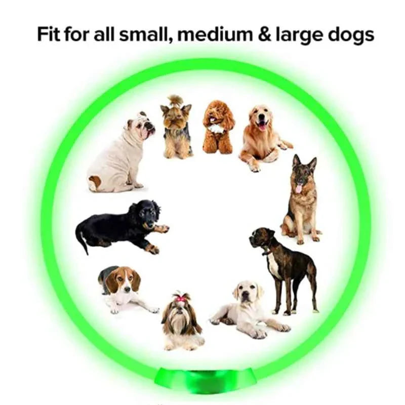 USB Rechargeable LED Dog Collar for Night Safety